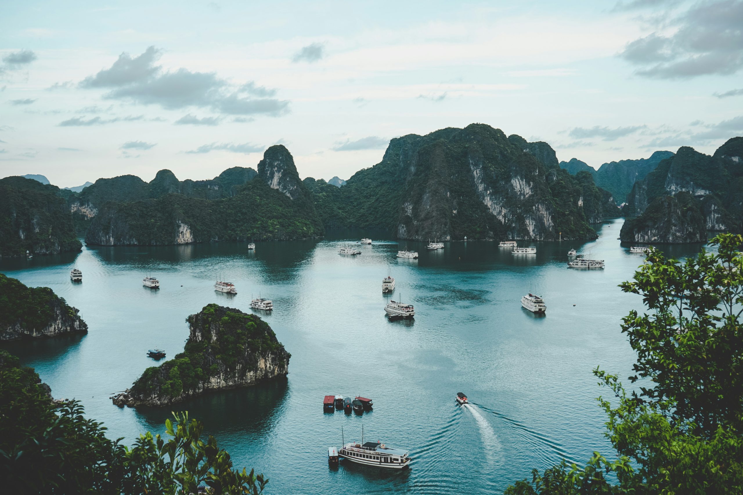 ammie ngo vcu ozbxxrk unsplash